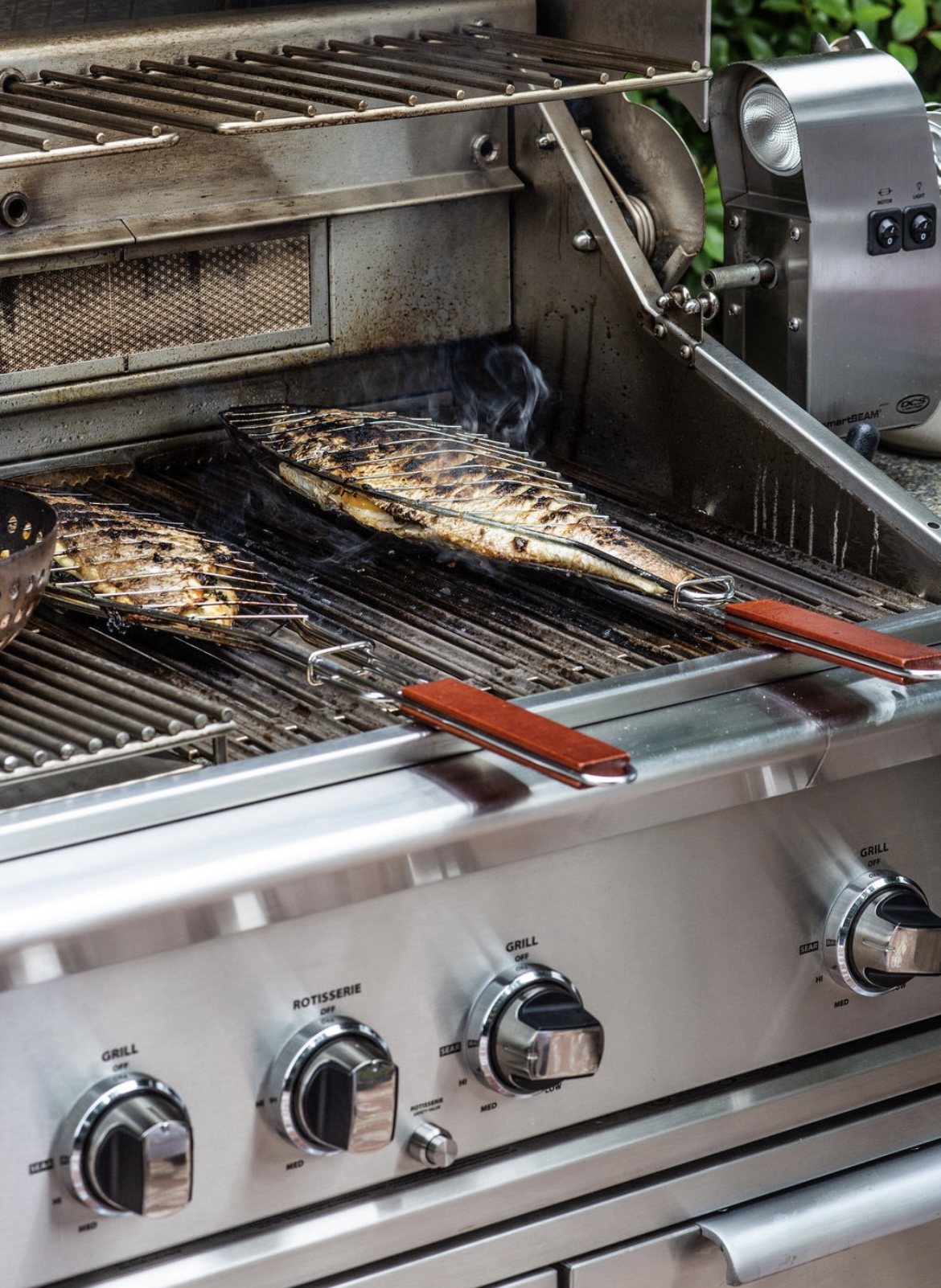 Grilled Fish and Garlic Sauce